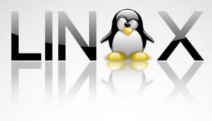 Read more about the article Linux Pointers- a new service