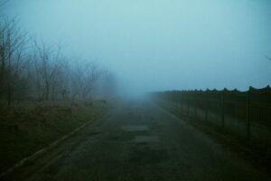 Moody foggy road scene at night with bare trees and gloomy atmosphere. Photo by KoolShooters
